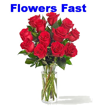 Flowers Fasst